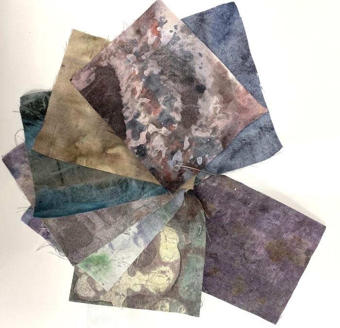 Fabric Painting with Denise Labadie (2 day class)